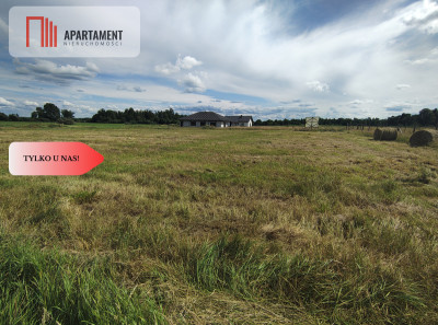 Tylko u nas Działka z MPZP oraz mediami - Kęsowo  -
Kujawsko-Pomorskie Zdjęcie nr 5