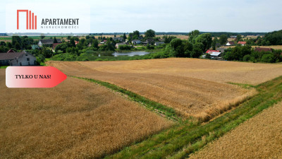Działka budowlana z widokiem na polany - Miedzno  -
Kujawsko-Pomorskie Zdjęcie nr 2