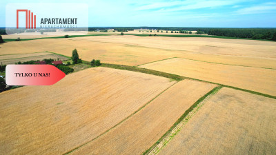 Działka budowlana z widokiem na polany - Miedzno  -
Kujawsko-Pomorskie Zdjęcie nr 5