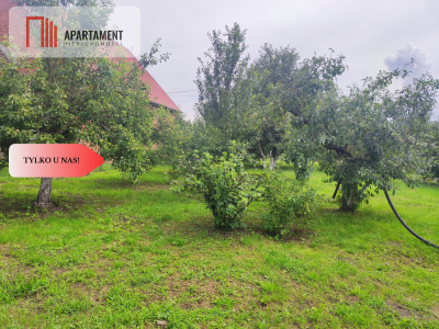 Działka rolna z dużą stodołą - Lubiel  -
Dolnośląskie Zdjęcie nr 3