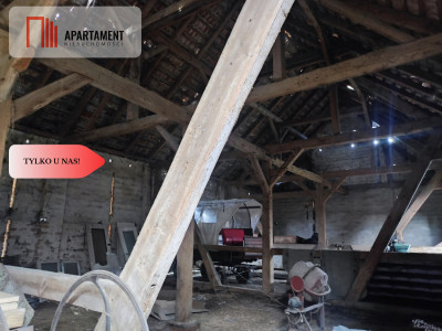 Działka rolna z dużą stodołą - Lubiel  -
Dolnośląskie Zdjęcie nr 8