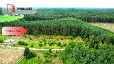 Cegielnik działka 1356m2 ze ścianą lasu - powiat toruński  -
Kujawsko-Pomorskie Zdjęcie nr 10