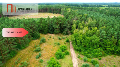 Cegielnik działka 1356m2 ze ścianą lasu - powiat toruński  -
Kujawsko-Pomorskie Zdjęcie nr 4