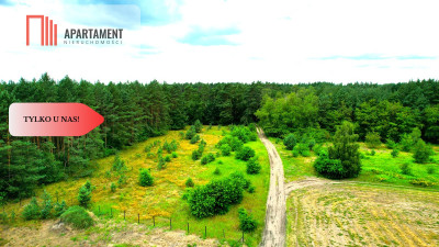 Cegielnik działka 1356m2 ze ścianą lasu - powiat toruński  -
Kujawsko-Pomorskie Zdjęcie nr 5