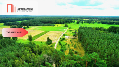 Cegielnik działka 1356m2 ze ścianą lasu - powiat toruński  -
Kujawsko-Pomorskie Zdjęcie nr 9