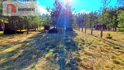 Duża działka budowlana blisko jeziora - Lisiny  -
Kujawsko-Pomorskie Zdjęcie nr 8