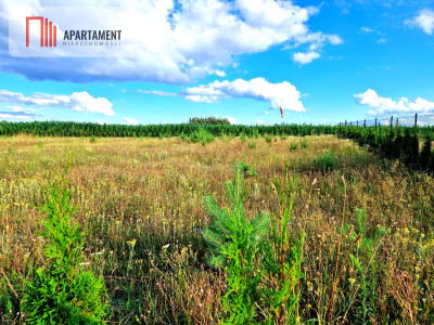 Działka budowlana w spokojnej okolicy  - Frank  -
Pomorskie Zdjęcie nr 10