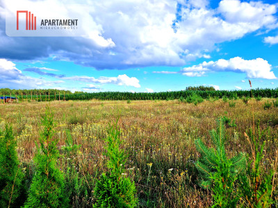 Działka budowlana w spokojnej okolicy  - Frank  -
Pomorskie Zdjęcie nr 11