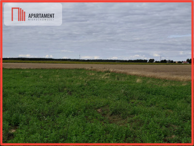 Atrakcyjna działka pod budowę domu tylko 150złmkw - Mochle  - Kujawsko-Pomorskie