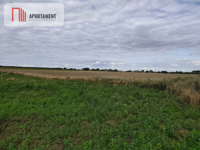 Atrakcyjna działka pod budowę domu tylko 150złmkw - Mochle  -
Kujawsko-Pomorskie Zdjęcie nr 3