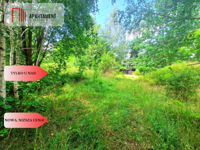 Tylko u Nas Duża działka usługowo-mieszkalna - Charzykowy  -
Pomorskie Zdjęcie nr 2