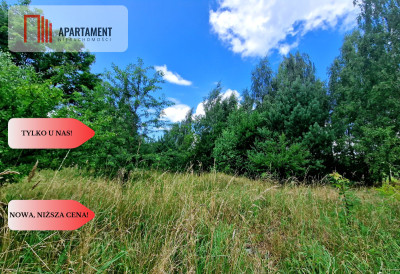 Tylko u Nas Duża działka usługowo-mieszkalna - Charzykowy  -
Pomorskie Zdjęcie nr 4