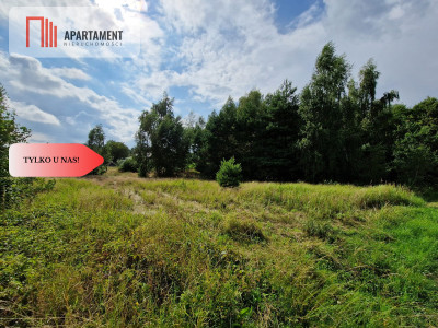 Działka Górne Morgi - Morgi  - Kujawsko-Pomorskie