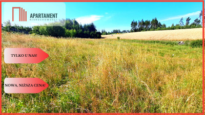 Nowa cenaDuża działka budowlana blisko miasta - Tuchola  -
Kujawsko-Pomorskie Zdjęcie nr 2