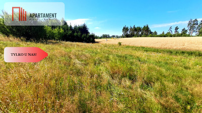 Nowa cenaDuża działka budowlana blisko miasta - Tuchola  -
Kujawsko-Pomorskie Zdjęcie nr 5