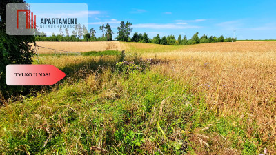 Nowa cenaDuża działka budowlana blisko miasta - Tuchola  -
Kujawsko-Pomorskie Zdjęcie nr 6