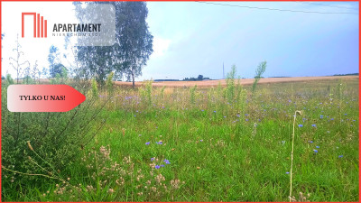 Tylko u nas  Działka siedliskowa  - powiat chojnicki  -
Pomorskie Zdjęcie nr 3