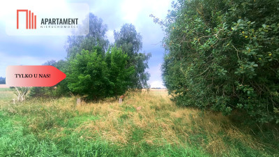 Tylko u nas  Działka siedliskowa  - powiat chojnicki  -
Pomorskie Zdjęcie nr 4