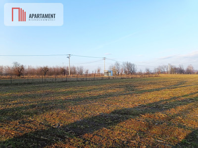 Duża działka budowlana na wsi - Koza Wielka  - Wielkopolskie