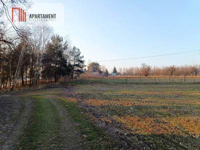 Duża działka budowlana na wsi - Koza Wielka  -
Wielkopolskie Zdjęcie nr 3