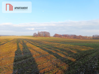 Duża działka budowlana na wsi - Koza Wielka  -
Wielkopolskie Zdjęcie nr 4