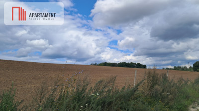 Działka Rolna - Róża Wielka - powiat pilski  -
Wielkopolskie Zdjęcie nr 2