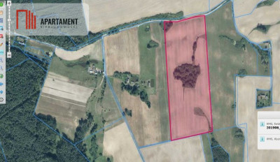 Działka Rolna - Róża Wielka - powiat pilski  -
Wielkopolskie Zdjęcie nr 3