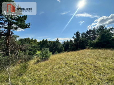 Jeleńczdziałka budowlana  13 375 m2 - Jeleńcz  -
Pomorskie Zdjęcie nr 2