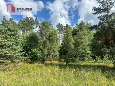 Jeleńczdziałka budowlana  13 375 m2 - Jeleńcz  -
Pomorskie Zdjęcie nr 3