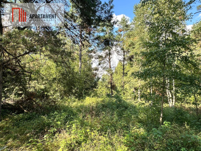 Jeleńczdziałka budowlana  13 375 m2 - Jeleńcz  -
Pomorskie Zdjęcie nr 4