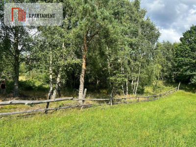 Jeleńczdziałka budowlana  13 375 m2 - Jeleńcz  -
Pomorskie Zdjęcie nr 5