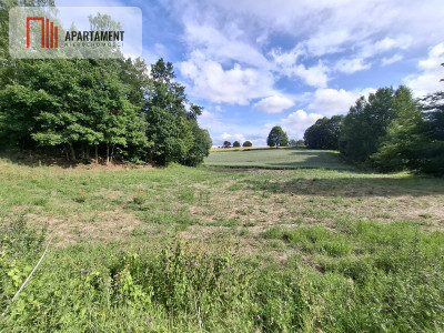 Piękna działka blisko Gdynii - Dobrzewino  - Pomorskie