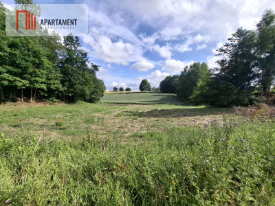 Piękna działka blisko Gdynii - Dobrzewino  -
Pomorskie Zdjęcie nr 2