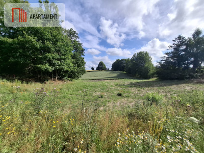 Piękna działka blisko Gdynii - Dobrzewino  -
Pomorskie Zdjęcie nr 3