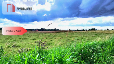 Tylko u nas Działka budowlana w spokojnej okolicy - powiat chojnicki  -
Pomorskie Zdjęcie nr 6