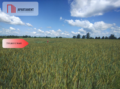 TYLKO U NAS DZIAŁKA Z WARUNKAMI ZABUDOWY MEDIA - powiat człuchowski  -
Pomorskie Zdjęcie nr 5