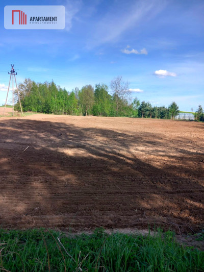 Duża działka z dużymi możliwościami  53złm - powiat chojnicki  -
Pomorskie Zdjęcie nr 2