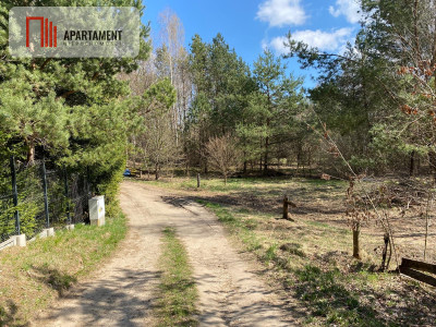 Tylko u nas Działka blisko natury w Borku - Borek Kamienny  -
Pomorskie Zdjęcie nr 12