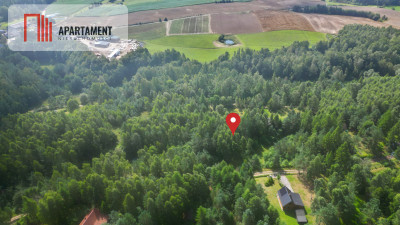 Tylko u nas Działka blisko natury w Borku - powiat kartuski  -
Pomorskie Zdjęcie nr 6