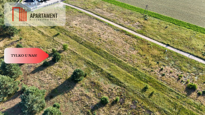 atrakcyjna z WZ Wolwark możliwość podziału - powiat nakielski  -
Kujawsko-Pomorskie Zdjęcie nr 5