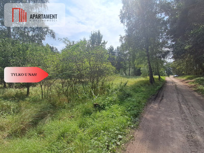 Działka z lasem - Budziszewice  -
Wielkopolskie Zdjęcie nr 3