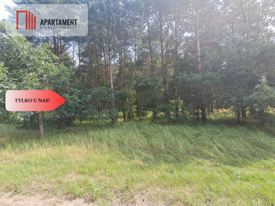 Działka z lasem - Budziszewice  -
Wielkopolskie Zdjęcie nr 5