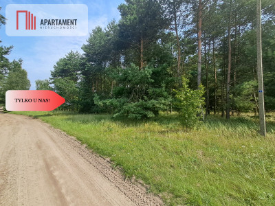 Działka z lasem - Budziszewice  -
Wielkopolskie Zdjęcie nr 7