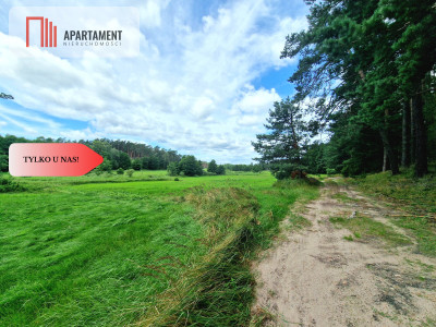 Polany w lesie Bory Tucholskie Głusza - powiat świecki  -
Kujawsko-Pomorskie Zdjęcie nr 8