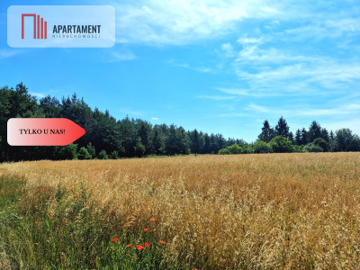 Działka budowlana w Borach Tucholskich - powiat świecki  -
Kujawsko-Pomorskie Zdjęcie nr 10