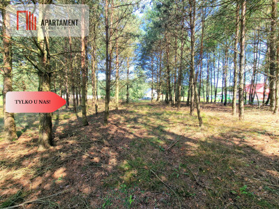 Działka budowlana w Borach Tucholskich - powiat świecki  - Kujawsko-Pomorskie