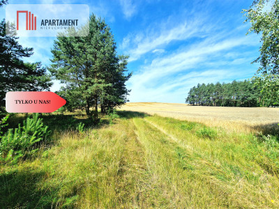 Działka budowlana w Borach Tucholskich - powiat świecki  -
Kujawsko-Pomorskie Zdjęcie nr 3