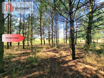 Działka budowlana w Borach Tucholskich - powiat świecki  -
Kujawsko-Pomorskie Zdjęcie nr 4