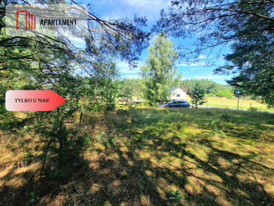 Działka budowlana w Borach Tucholskich - powiat świecki  -
Kujawsko-Pomorskie Zdjęcie nr 5