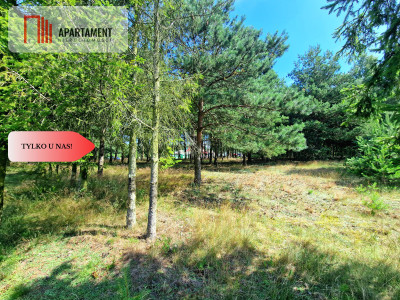 Działka budowlana w Borach Tucholskich - powiat świecki  -
Kujawsko-Pomorskie Zdjęcie nr 8